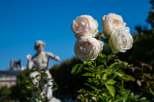 Fleur 2.jpg
