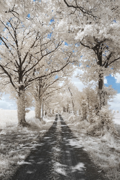 IR_2.thumb.jpg.c6656cbd4775bf3df86590bc0