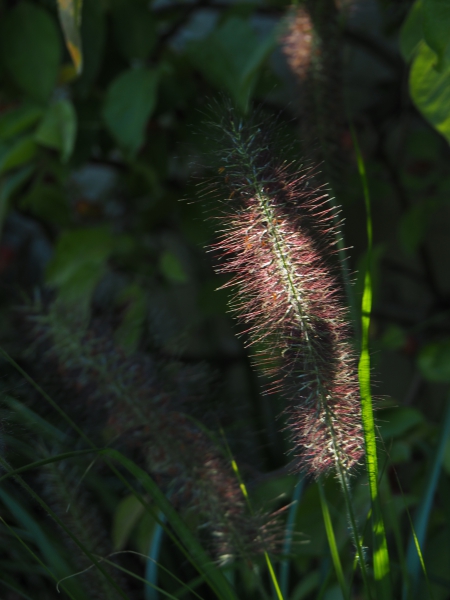 P9272567.JPG