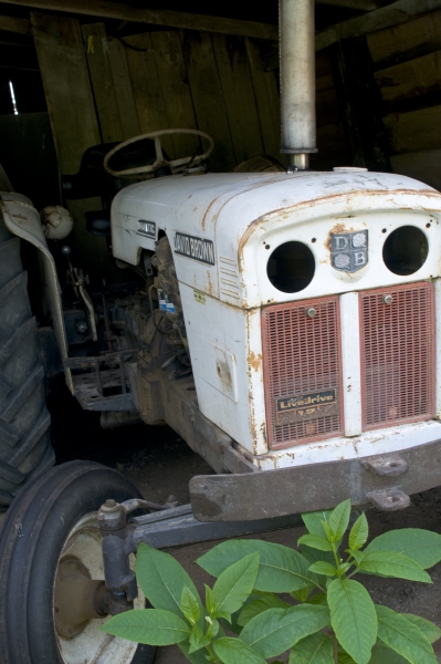 20110804_vacances_0099mod.thumb.jpg.d3f4