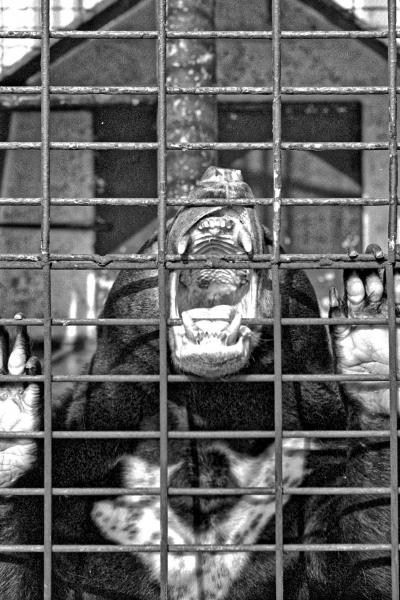 569970c20e584_ZoopourFPP_DxO.thumb.jpg.e