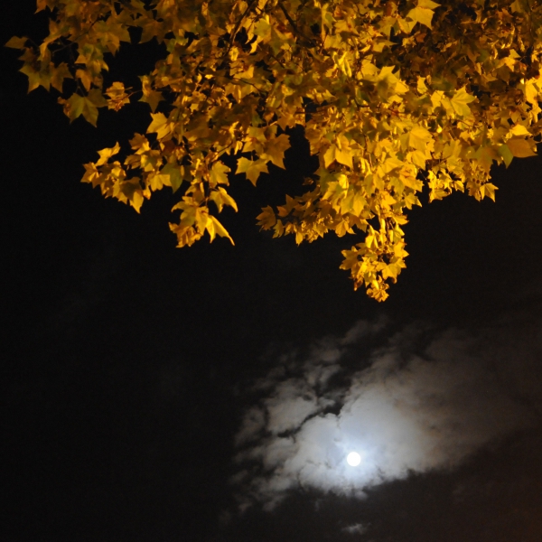 modlune_20150926_0005.thumb.jpg.797f5136