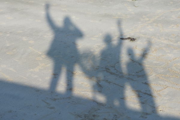 ombres.thumb.JPG.6721ad9a97a5f253096399c