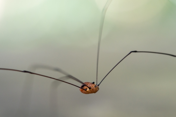 20130807_2106_P8072820_Web.thumb.jpg.61f