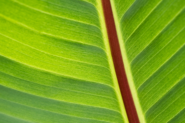 20130822_1816_P8225776_Web.thumb.jpg.b1d