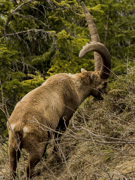 _DSC4116.jpg