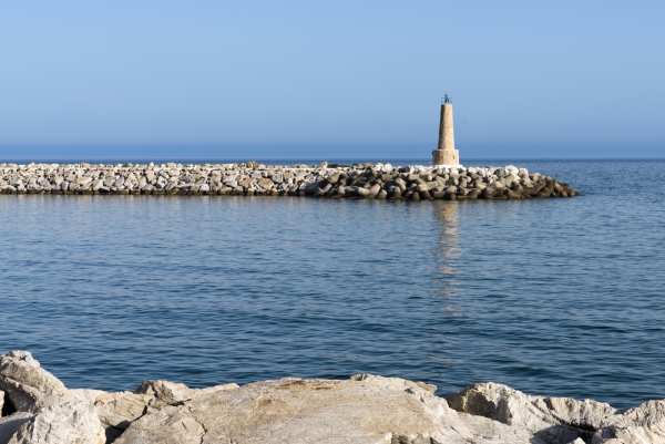DSC_2341.jpg