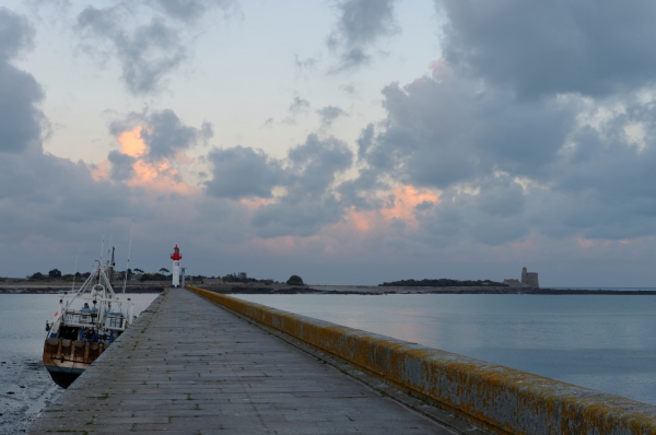 K5JM8189_DxO.jpg