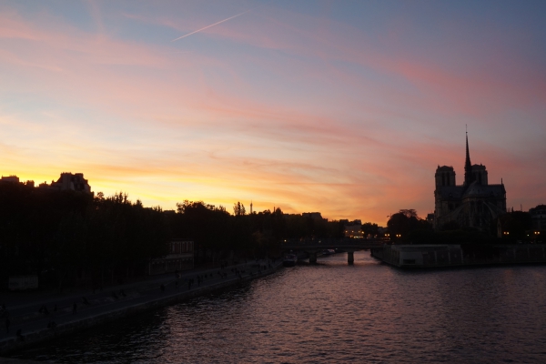 DSC01184.JPG.4b2aae68632e255eada8c7bd36bc356e.JPG