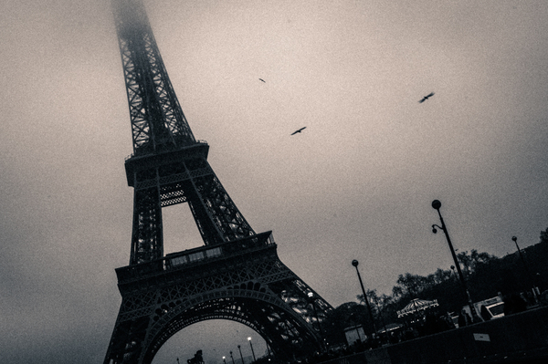 DSC_3486.jpg.265812807e6e555e3925c02355ae7768.jpeg