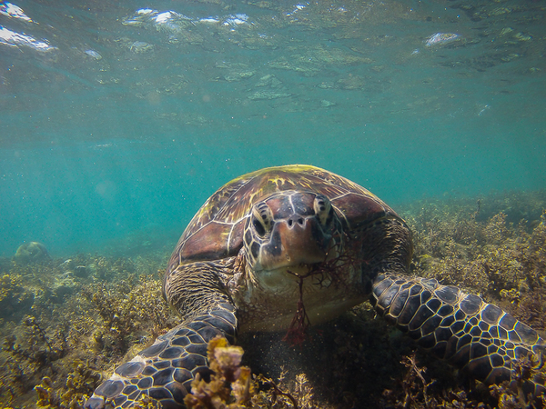 GOPR2454-1.jpg