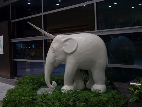 P4201453-1000px.jpg
