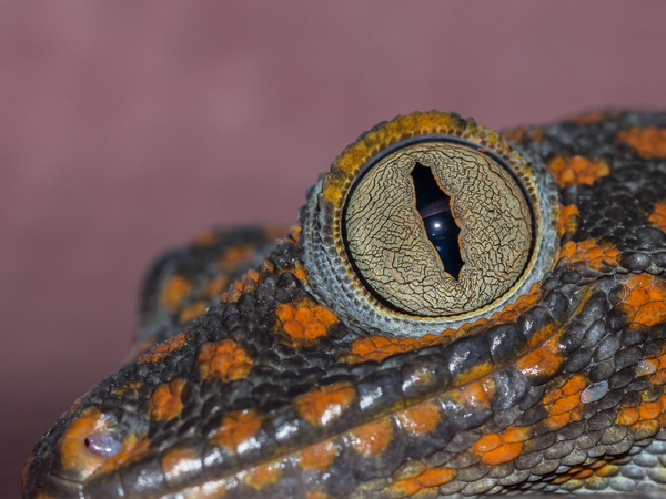 PB193348-1500px.jpg