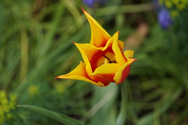 12.thumb.JPG.fc921aebce14d6c6f3484b79a9da2d3a.JPG