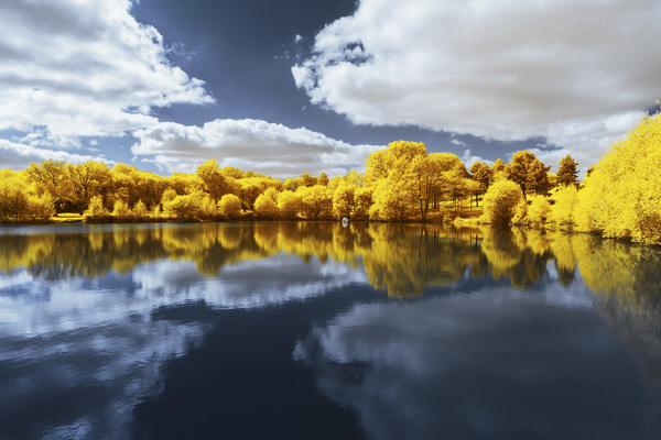 58f78056911b4_LtangdArt.jpg.835eb3a9bcf4da3879f2f736aeaf4e50.thumb.jpg.8c0c05b40bb805268028032c1eec917f.jpg