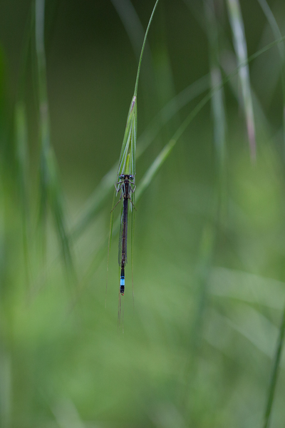 BW3A7430.jpg