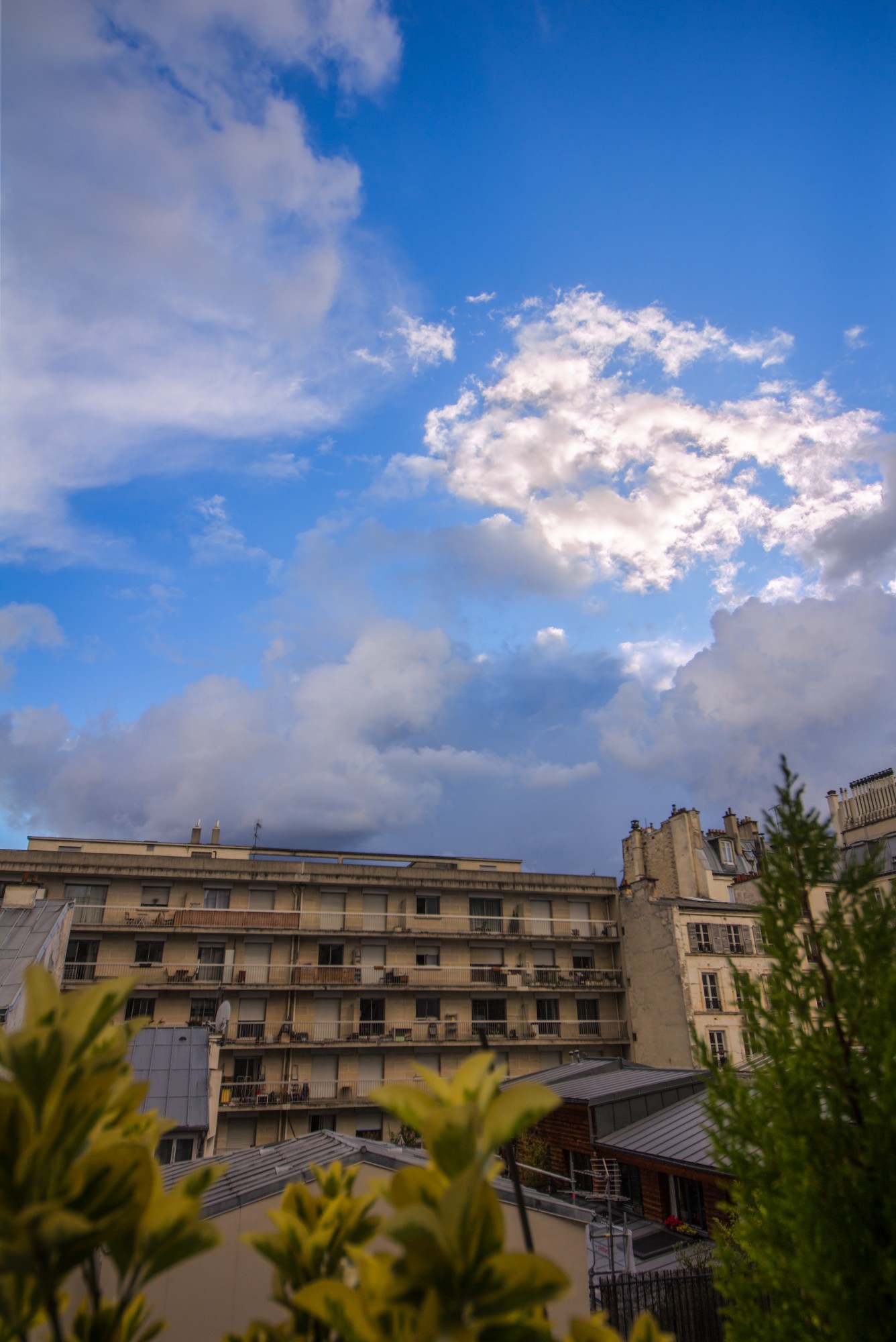 toit_2_-_190517.jpg