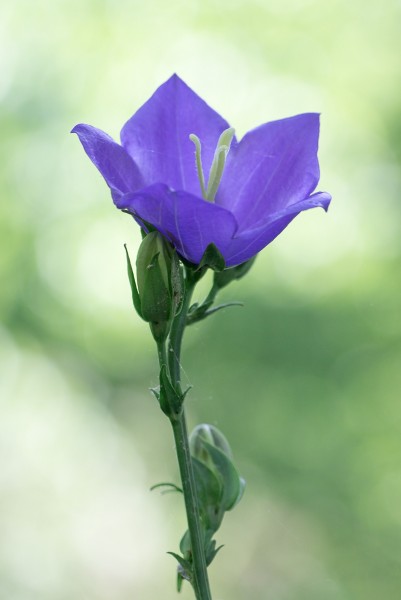 P-_7d_ad__Y4A9837.thumb.jpg.2c83bf99ccecf091ca6a9f1efd05ba3f.jpg