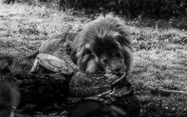 DSC_0086.jpg