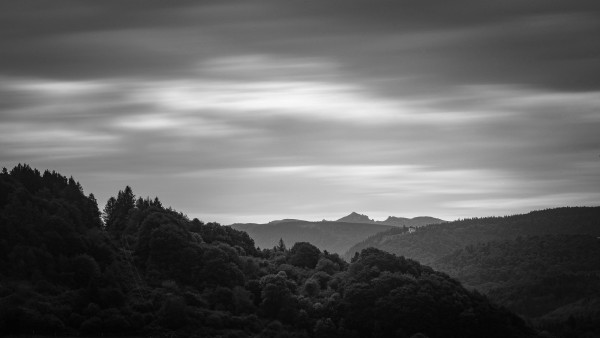 PAT_1263-P_Le.Photography-4.thumb.jpg.4bdfde7e601ed6ca52cea6e6f47b96b7.jpg