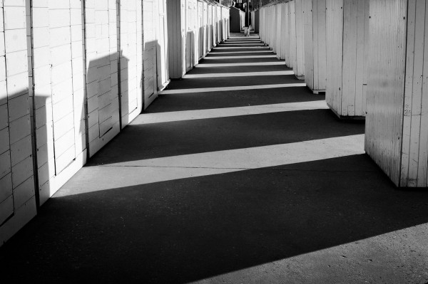 IMGP2977.jpg.827c3d91d95138d4782b1b9597454a0a.jpg