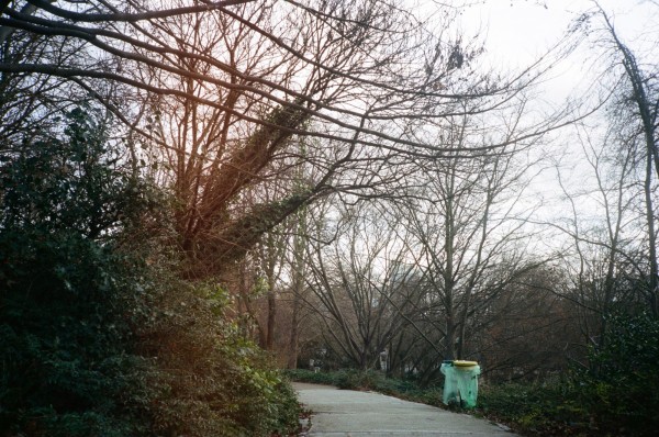 0016_13A.jpg