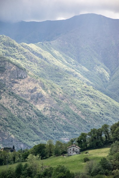 1012276147_Montagneprintanire.thumb.jpeg.1d1b08a7ad02369a1f89e5ec52792edf.jpeg