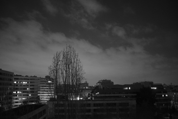 DSC_7480.jpg