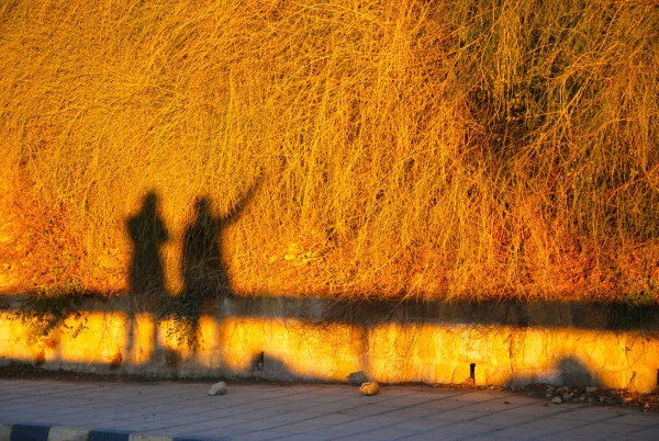 FrancescoPhoto.jpg