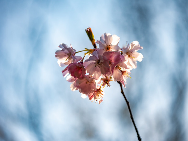 P1050479-2.jpg