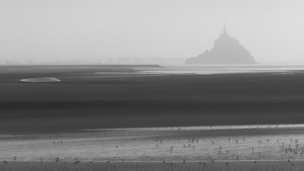 _6290196_DxO-1.thumb.jpg.c77d2836d8f815e27f33ea0d36d16cbb.jpg