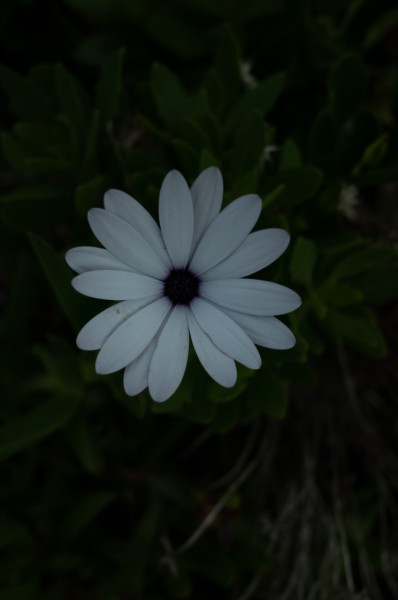 R0017708.jpg