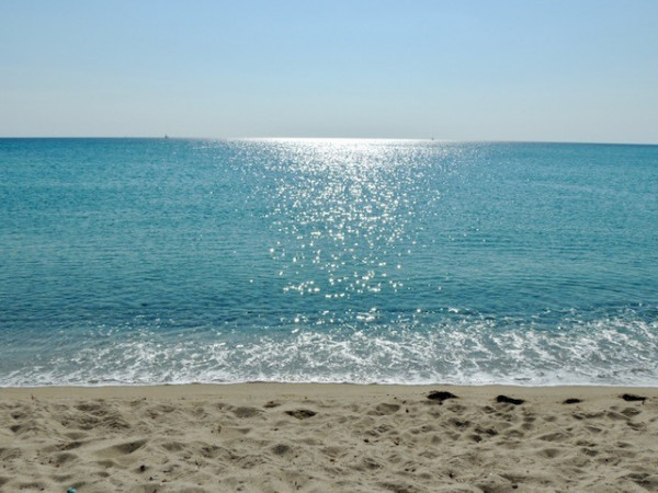 DSCN9056.jpg