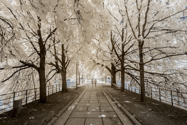 Paris_Invisible_2019_infrared_photography_series_pierre-louis_ferrer_03.thumb.jpg.0066e6c56247f6822fea7b7eb8be5ea6.jpg