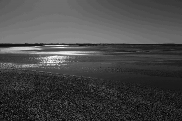 DSCF6343.JPG