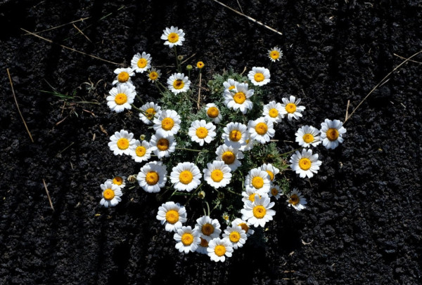 DSCF9044_v1.jpg
