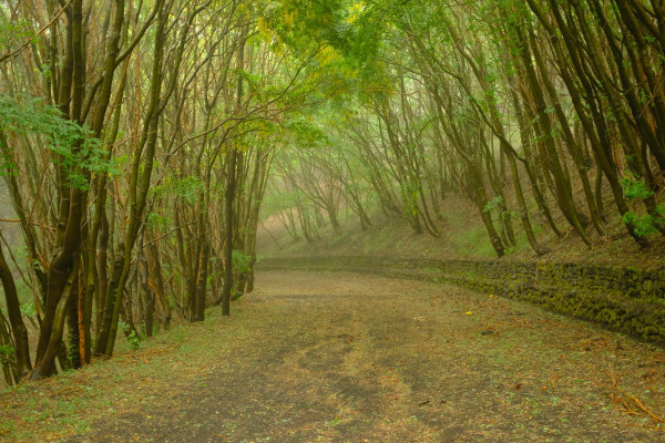 DSCF9195.jpg
