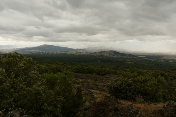 DSCF9233.jpg
