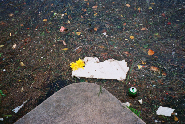 pollution.thumb.jpg.595c9c60d61a42dd3933324ea196d6cf.jpg