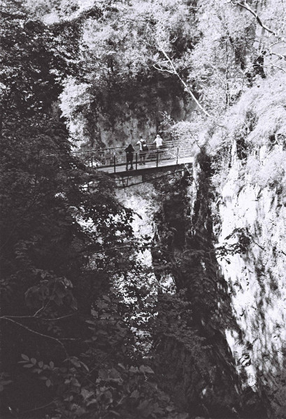 grotteslovnie.thumb.jpg.c755e7b6e8b3aa83972008fe84ebb81f.jpg