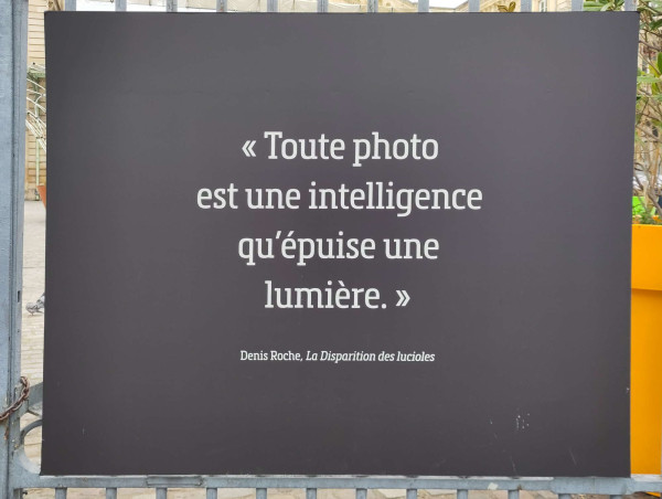 IMG_20240130_125959_v1.jpg