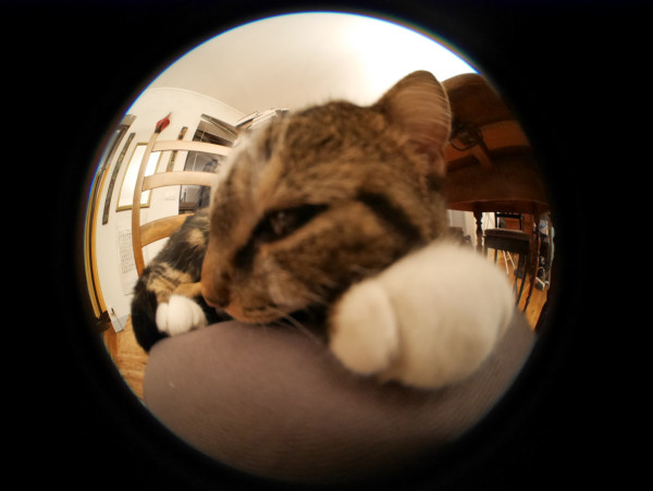 P1160123.JPG