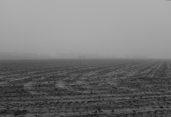 DSCF2758_v1.jpg