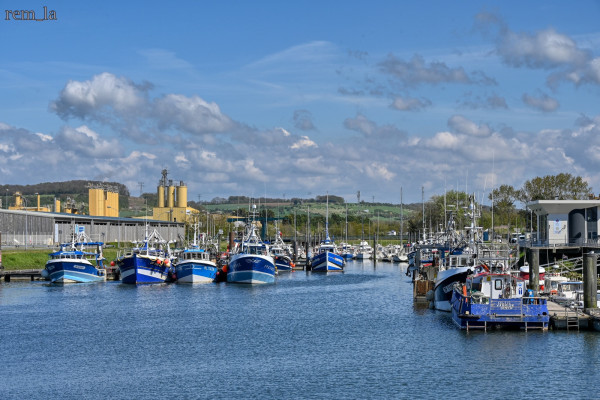 DSC_1101 auro_1600.jpg