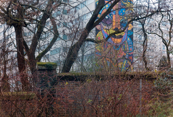 DSC_1779_v1.jpg