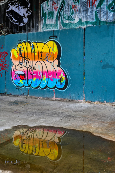 DSC_4446auro_1600.thumb.jpg.06ae04ff0f612d911524111a019aa62a.jpg