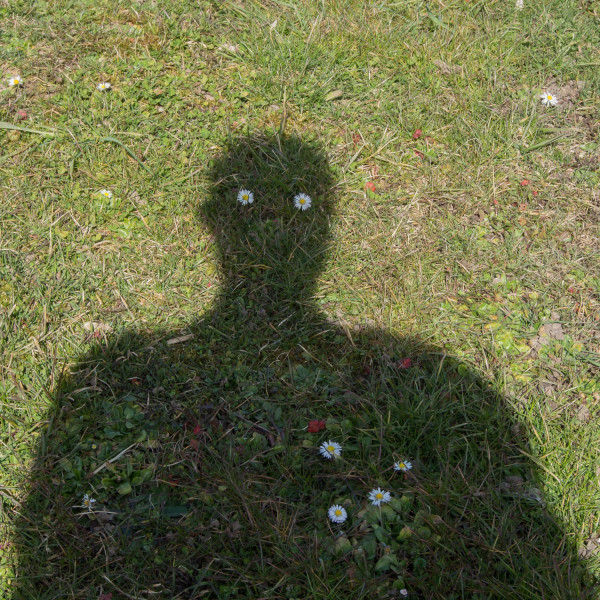 P3080259-1500px.thumb.jpg.c1bfbf5c92e8f88e6c539d2e18eb22d7.jpg