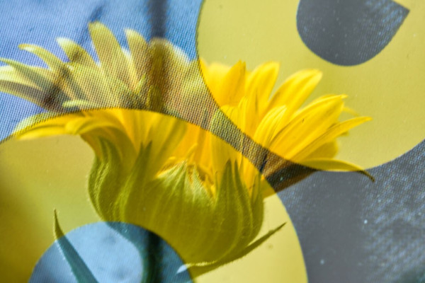 Polka du printemps.jpg
