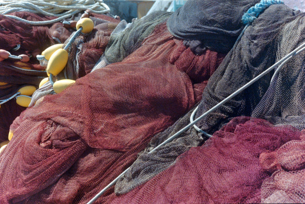 DSC_1900_v1.JPG