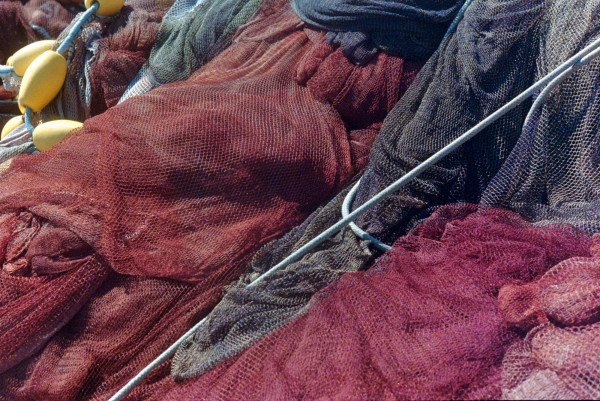 DSC_1900_v2.jpg